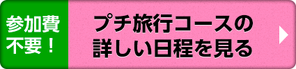 プチ旅行コースの詳しい日程を見る